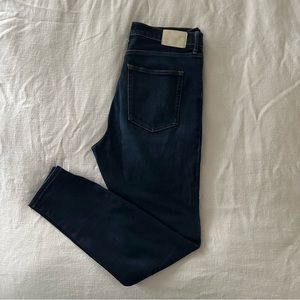 Everlane High Rise Skinny Jean